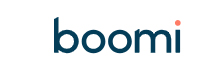 Boomi - Array Boomi