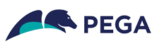 Pega - Array Pega