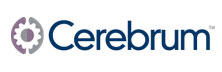 Cerebrum